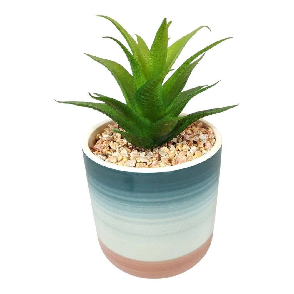 Fake Succulent Potted Houseplant Cobalt Blue White Pink Ceramic Pebbles New